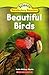 Beautiful Birds