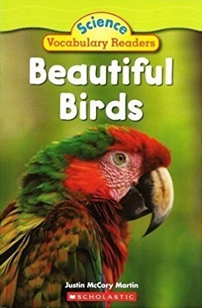 Beautiful Birds (Paperback)