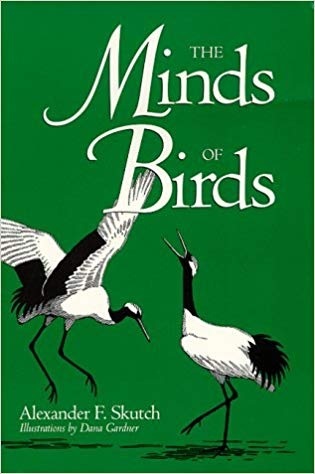 The Minds of Birds (Louise Lindsey Merrick Natural Environment Series)