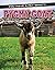 Rourke Educational Media Pygmy Goat (You Have a Pet What?!)