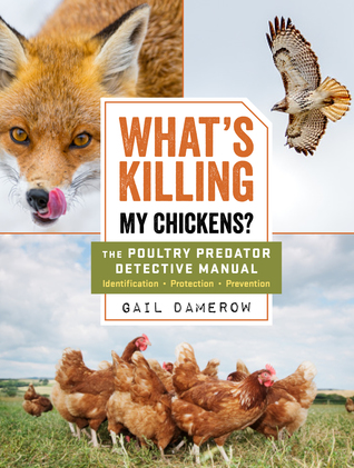 What's Killing My Chickens?: The Poultry Predator Detective Manual (Paperback)