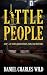 Little People: A Fantasy Story About Fathers, Sons, and Monsters