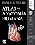Atlas de anatomía humana by F.H. Netter