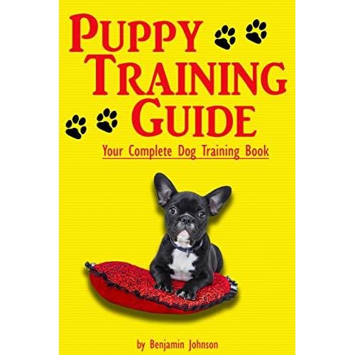 puppy training guide