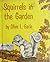 Squirrels in the Garden