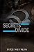 Secrets Divide (Sequel to S...