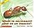 What is an Insect? / Que es un insecto? - Bilingual Book
