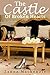 The Castle Of Broken Hearts  (Broken Hearts Book 1)