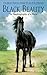 Black Beauty by Anna Sewell