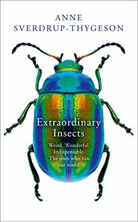 Extraordinary Insects