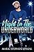 Night in the Underworld by Mark Stephen O'Neal