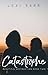 Catastrophe (Beautiful Destruction Book 2)