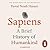 Sapiens: A Brief History of Humankind