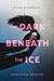 The Dark Beneath the Ice