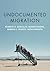Undocumented Migration (Immigration & Society)