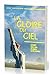 La gloire du ciel by John F. MacArthur Jr. La gloire du ciel by John F. MacArthur Jr.