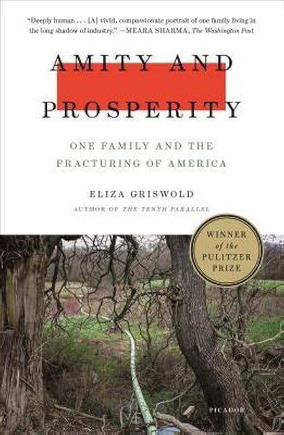 Amity and Prosperity: One Family and the Fracturing of America