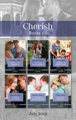 Her Favourite Maverick/The Dating Arrangement/The Family He Didn't Expect/More than One Night/A Promise for the Twins/A Father for Her Chi