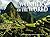 Wonders of the World