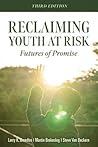 Reclaiming Youth ...