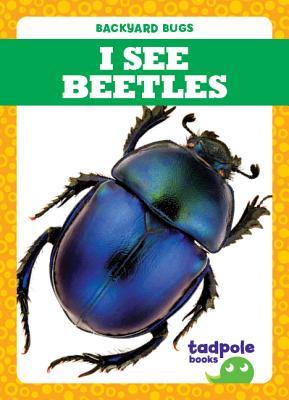 I See Beetles (Tadpole Books: Backyard Bugs)