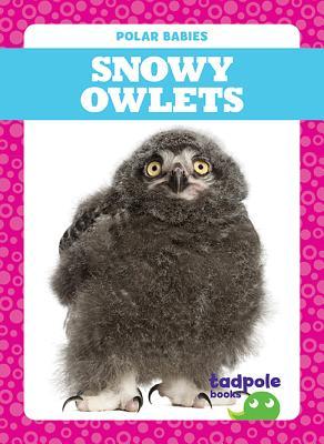 Snowy Owlets (Tadpole Books: Polar Babies)