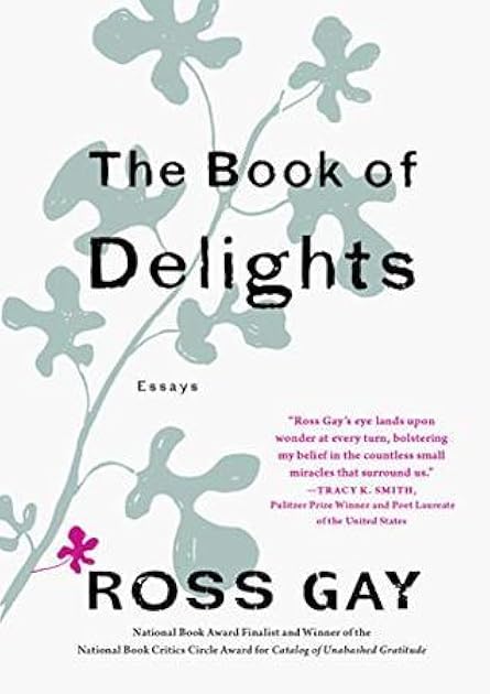 The Book of Delights: Essays