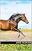 A Ride with Mr. Darcy: A Pr...