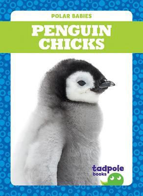 Penguin Chicks (Tadpole Books: Polar Babies)