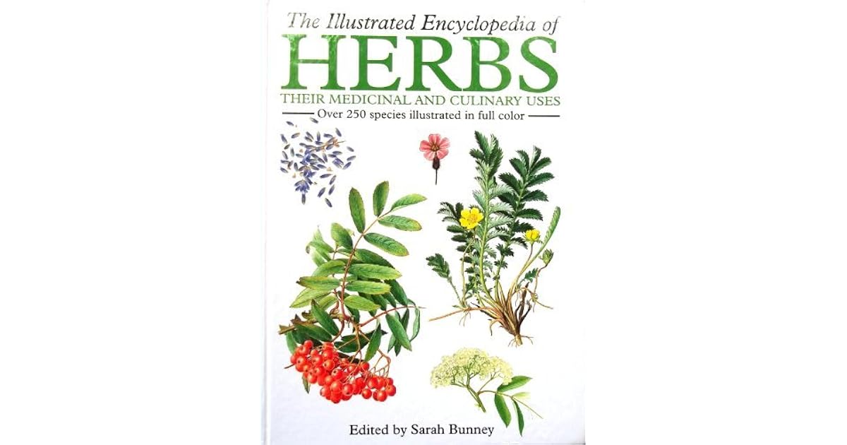 The Illustrated Encyclopedia of Herbs Their Medicinal and Culinary