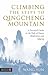 Climbing the Steps to Qingcheng Mountain by Wang Yun