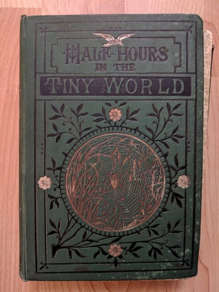 Half Hours in the Tiny World