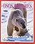 Osos Polares: Animales en a...