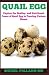 Quail Egg: Explore the Heal...
