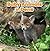 Baby Animals in Dens (Baby Animals and Their Homes)
