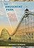 The Amusement Park: 900 Years of Thrills and Spills, and the Dreamers and Schemers Who Built Them