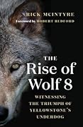 The Rise of Wolf 8: Witnessing the Triumph of Yellowstone’s Underdog