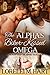 The Alpha's Biker-Kissed Omega (Alpha Kissed #8)
