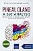 Pineal Gland – A 360° Analysis by Evelyn Schneider-Mark