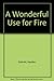 Wonderful Use for Fire by Hayden Gabriel