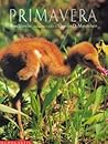 Primavera