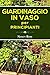 Giardinaggio in vaso per pr...