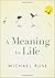 A Meaning to Life (Philosophy in Action)
