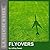 Flyovers