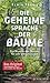 Die geheime Sprache der Bäume. Und wie die Wissenschaft sie entschlüsselt.