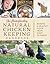 The Homesteader's Natural Chicken Keeping Handbook: Raising a Healthy Flock from Start to Finish