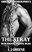 The Stray (Obedience School #5)
