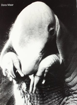 Dora Maar: Fotógrafa (Paperback)
