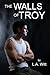 The Walls of Troy