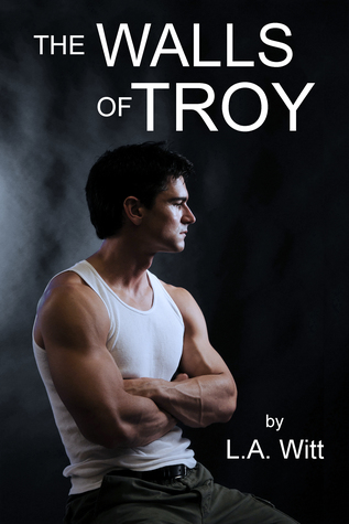 The Walls of Troy (ebook)